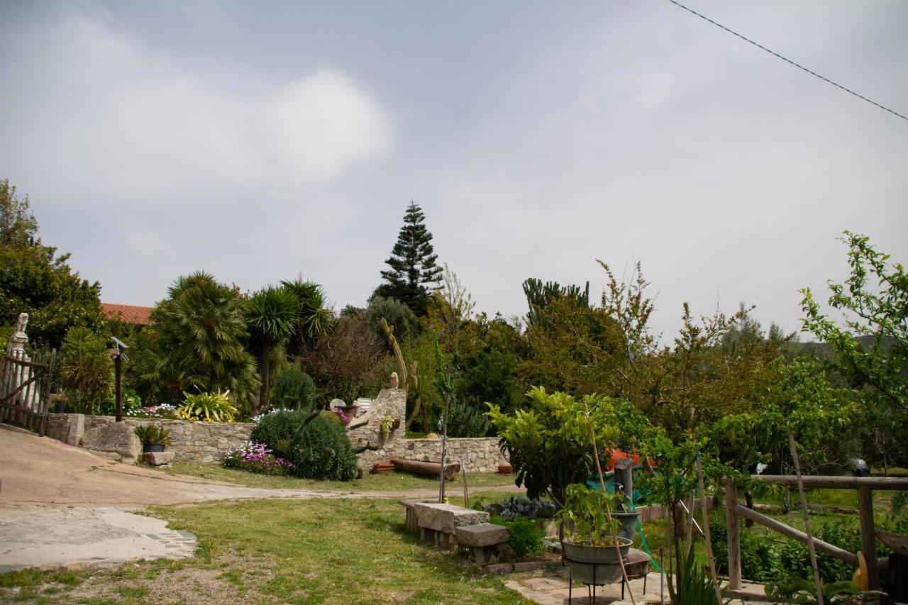 B&B Il Giardino Arbus Exterior photo